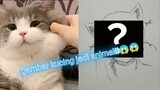 gambar kucing tapi versi anime🤨🤨 | speed drawing