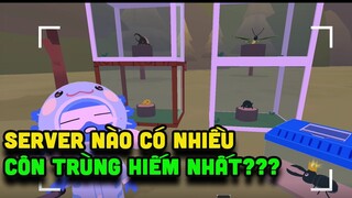 PLAY TOGETHER | KINH NGHIỆM CHỌN SERVER BẮT CÔN TRÙNG HIẾM - UPDATE MỚI CÓ GÌ HOT??? | MÈO MỤP