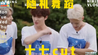 【SEVENTEEN】随机舞蹈十七cut