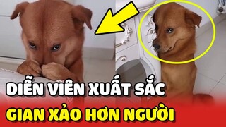 Chú chó GIẢ VỜ NGỦ để lừa bà ngoại rồi BỎ TRỐN đi chơi 😮 | Yêu Lu