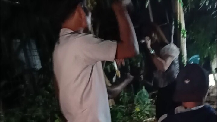 acara nyawer