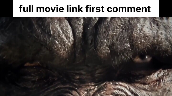 Godzilla x Kong the new empire