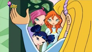 Winx Club - Sezoni 1 Episodi 05 'Takim Me Fatkeqsine' (SHQIP)