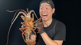 ASMR | Giant Japanese Lobster | VLOG | MUKBANG | COOKING