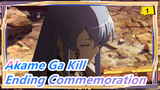 Akame Ga Kill | Mashup~Ending Commemoration_1
