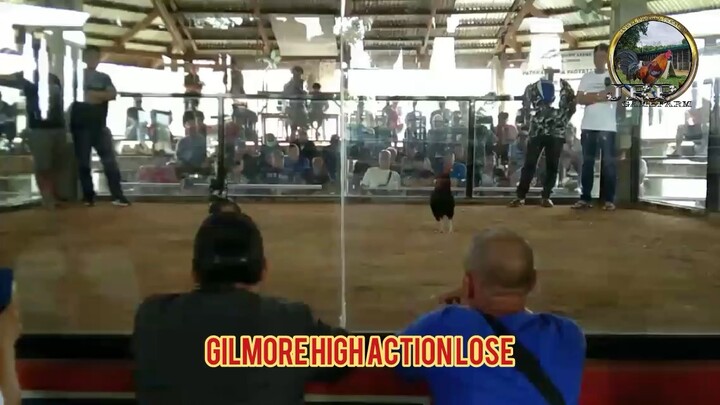 Gilmore high action Lose!