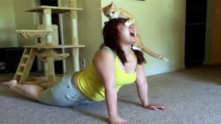 Funny Animal Videos 2022 😂 - Funniest Cats And Dogs Video 😺😍