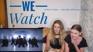 We Watch: Stray Kids - Voices Special Video