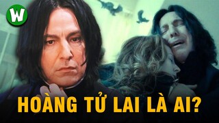 Severus Snape | Cuộc Đời & Sự Nghiệp  Nhân Vật Gây Tranh Cãi Nhất Harry Potter