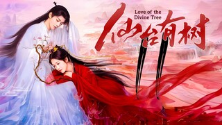 EP11 LOTDT: Sendai Tree (2025)