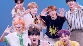 Versi tari estafet "Can't Stop Shining" oleh boy grup baru Lehua TEMPEST telah dirilis!