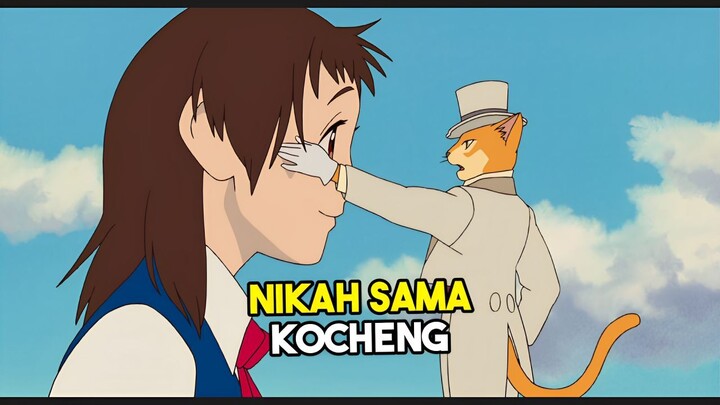 Cewek ini Dipaksa Nikah sama Kucing?🫤