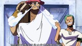 The most violent man in the Straw Hat Pirates