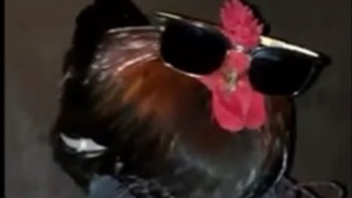 Dripped out chickens