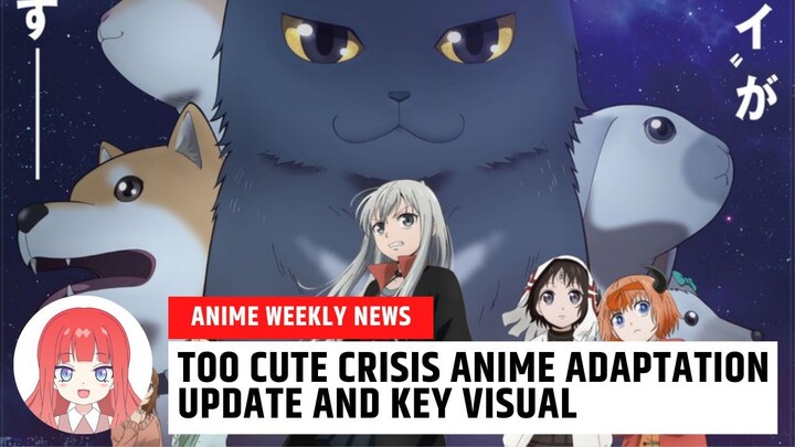 ALIEN NA NACUTETAN SA PUSA? TOO CUTE CRISIS ANIME ADAPTATION AND UPDATE! • Anime Weekly News •
