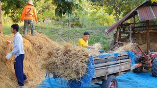 "ขนข้าวขึ้นลาน"สีข้าวกินลาบเป็ด หัดขับรถไถครั้งแรก!! สิไหวบ่