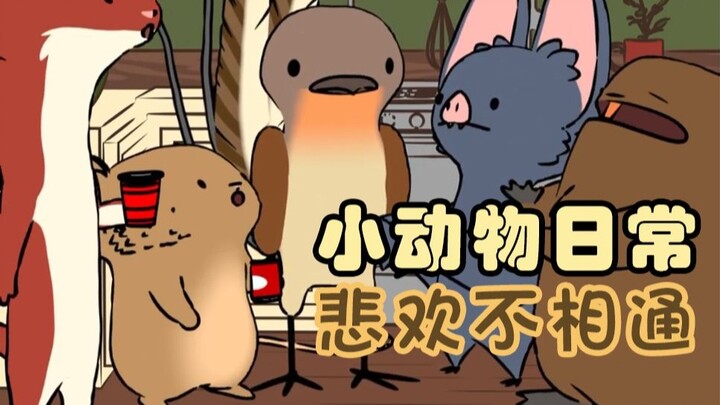 悲欢不相通🐦🤣 🦫😭-【小动物日常 | Natural Habitat Shorts】中英双字