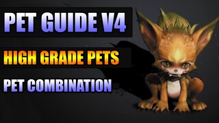 HOW TO SUMMON PETS IN V4 - MMORPG