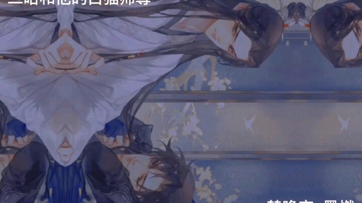 师尊啊.....