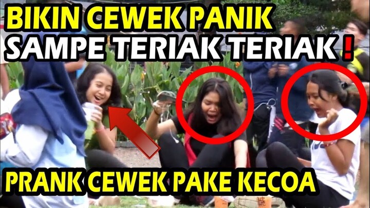 NGAKAK! PRANK CEWEK DILEMPAR KECOA SAMPE TERIAK ! | PRANK INDONESIA