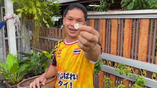 หาเห็ดมาเมื่อย ๆ แถมเหลือเงินติดกระเป๋าแค่บาทเดียว