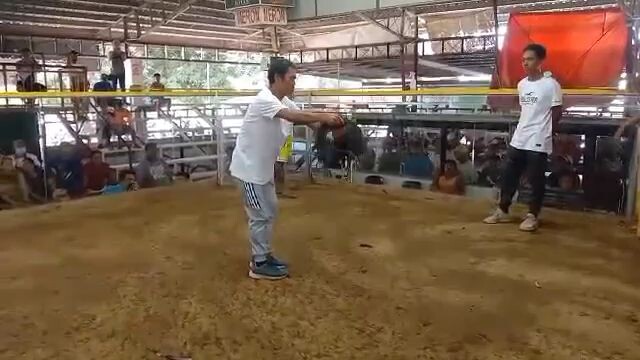 1stfigth 2cock ulutan magulo video Ng kumpare ko