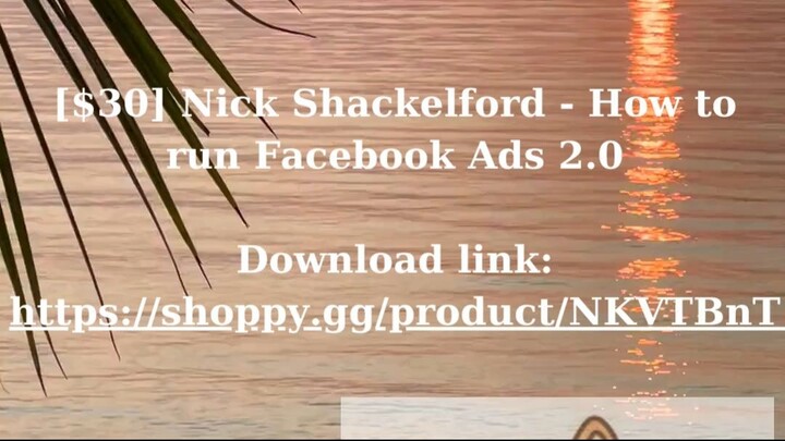 [$30] Nick Shackelford - How to run Facebook Ads 2.0