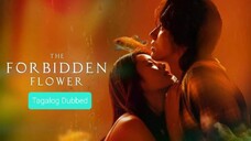 THE FORBIDDEN FLOWER Ep.24(FINALE)  Tagalog Dubbed