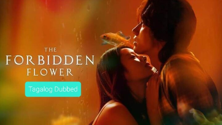 THE FORBIDDEN FLOWER Ep.19 Tagalog Dubbed