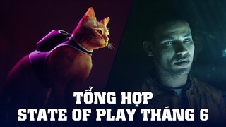 Những Cái Tên Hấp Dẫn Nhất Hé Lộ Tại State Of Play Tháng 6