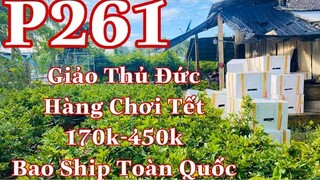 Mai vàng p261 | 0392974927 Tuyền | Mai giảo thủ đức hàng chơi tết giá 170k-450k bao ship toàn quốc