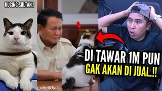 DULU DI BUANG ORG SKRG JADI KUCING GEMOY KSAYANGAN PAK PRABOWO‼️..REACT MEME KOCAK