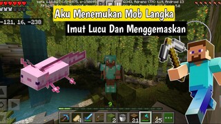 Aku Bertemu Mob Super Langka Di Minecraft !!