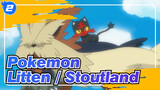 [Pokemon] Litten: "Stoutland, Apakah Kau Sudah Melihat Pertumbuhanku?"_2