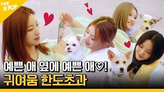 귀여운 댕댕이들을 위해 유기견 보호소를 찾은 프로미들!  [아이돌 사생대회] 3회 선공개