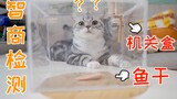 猫 为了吃，究竟能聪明什么程度？可能超越了我们…