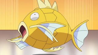 Pernahkah Anda melihat Magikarp yang begitu disiplin? ? Terbang keluar dari bumi!