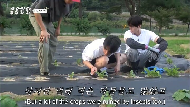 [ENGLISH SUB] GBRB: Reap What You Sow Ep 3
