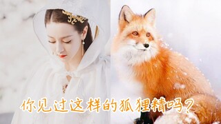 [Dilraba | Comparison] Have you ever seen such a vixen? On the similarity between Bai Fengjiu and th