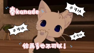 【奏kanade/猫切】不会有人以为可以控制我小猫咪吧！