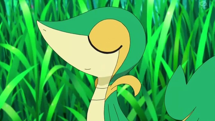 Di Tahun Ular, kamu masih harus nonton Royal Sister Tsundere Snake