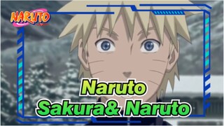 [Naruto] Does Sakura Like Naruto?