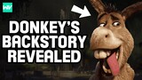 Donkey's DEPRESSING Backstory Explained!
