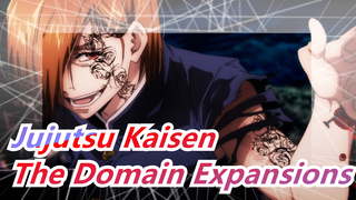 Jujutsu Kaisen -The Domain Expansions of These Crazy Guys!