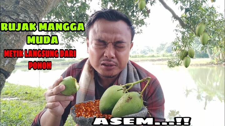 RUJAK MANGGA MUDA..!! GILA ASAMNYA BIKIN NGILU..!!