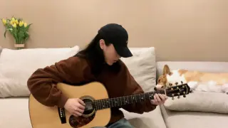 Fingerstyle guitar "Red Bean" cover by Zhang Yifan
