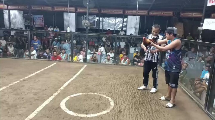 2Hits champion 2nd fight at New Bantayan Cockpit Arena
