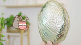 [Kuliner] [Masak] Apa yang dialami Abalone Hitam ini sehingga menjadi hijau