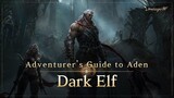 [Lineage W] Dark Elf｜Adventurer's Guide to Aden