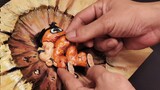 สดุดีดราก้อนบอล การ์ตูนคลาสสิกบรรเทา ภาพที่ 6 ฉากบูชายัญอันโด่งดังของยามูชาใน "เทพแห่งชาอยู่ในหลุม"